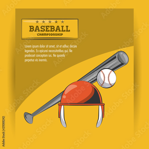 Baseball championship poster with information vector illustration graphic design