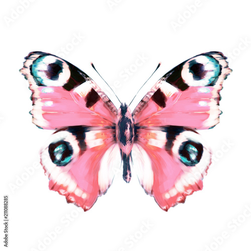 beautiful red  butterfly, isolated  on a white © aboard