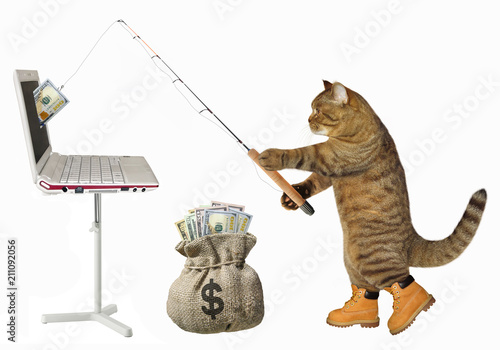 The cat fisher catches dollars from the computer with a fishing rod. White background. photo