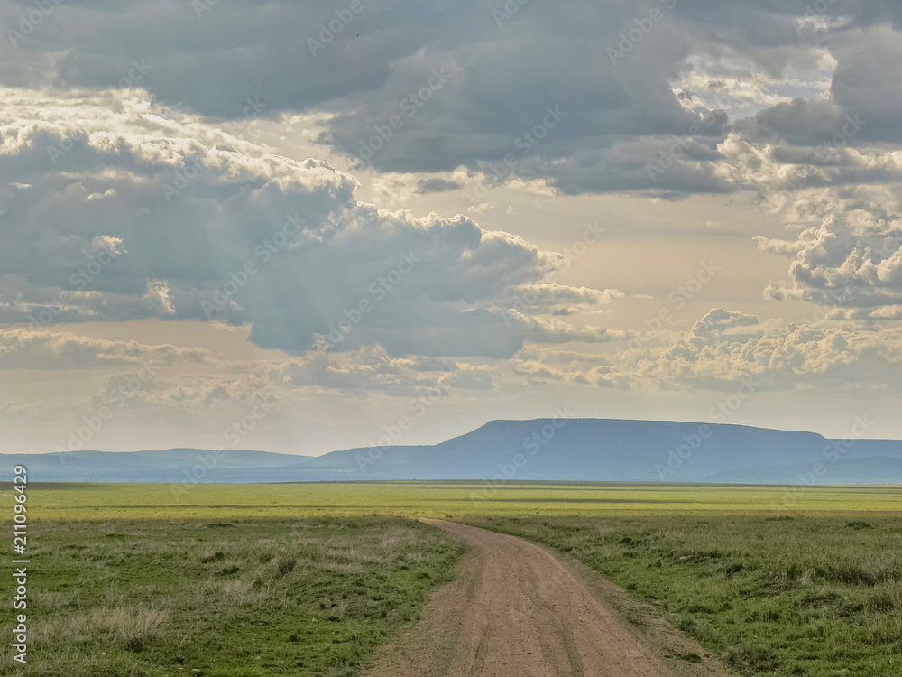 Fototapeta premium Vanishing dirt road in savanna against mountain and cloudy sky background. Serengeti National Park, Tanzania, Africa.