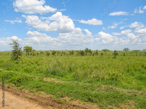 Savanna plain against cloudy sky background. Serengeti National Park, Tanzania, Africa. 
