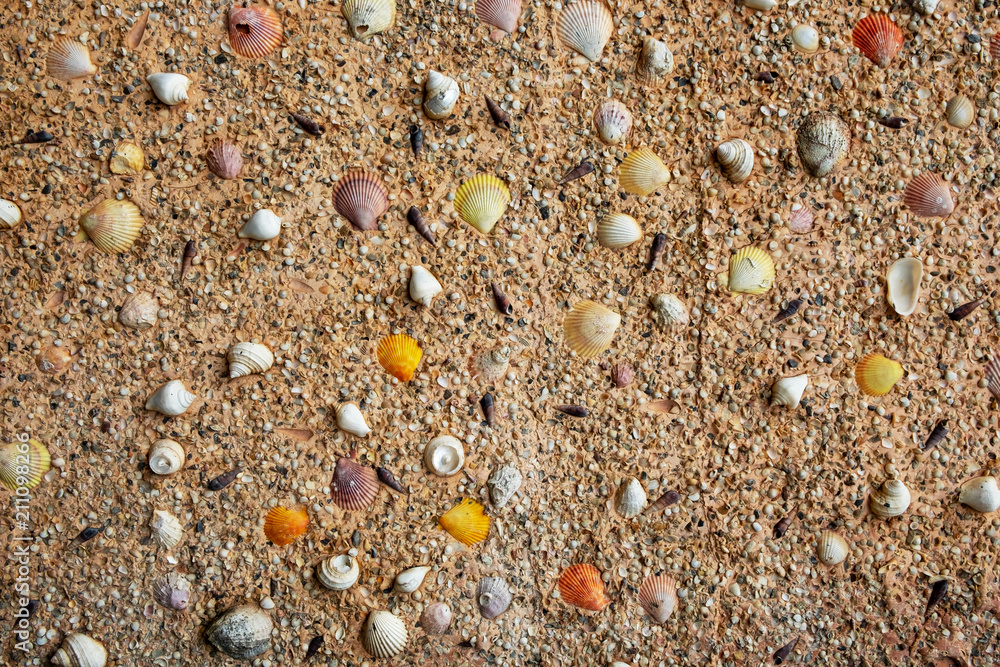 Indoor Decoration Wall with Various Sea Shells, Sand and Gravel. Indoor Decoration Wall with Various Sea Shells, Sand and Gravel.