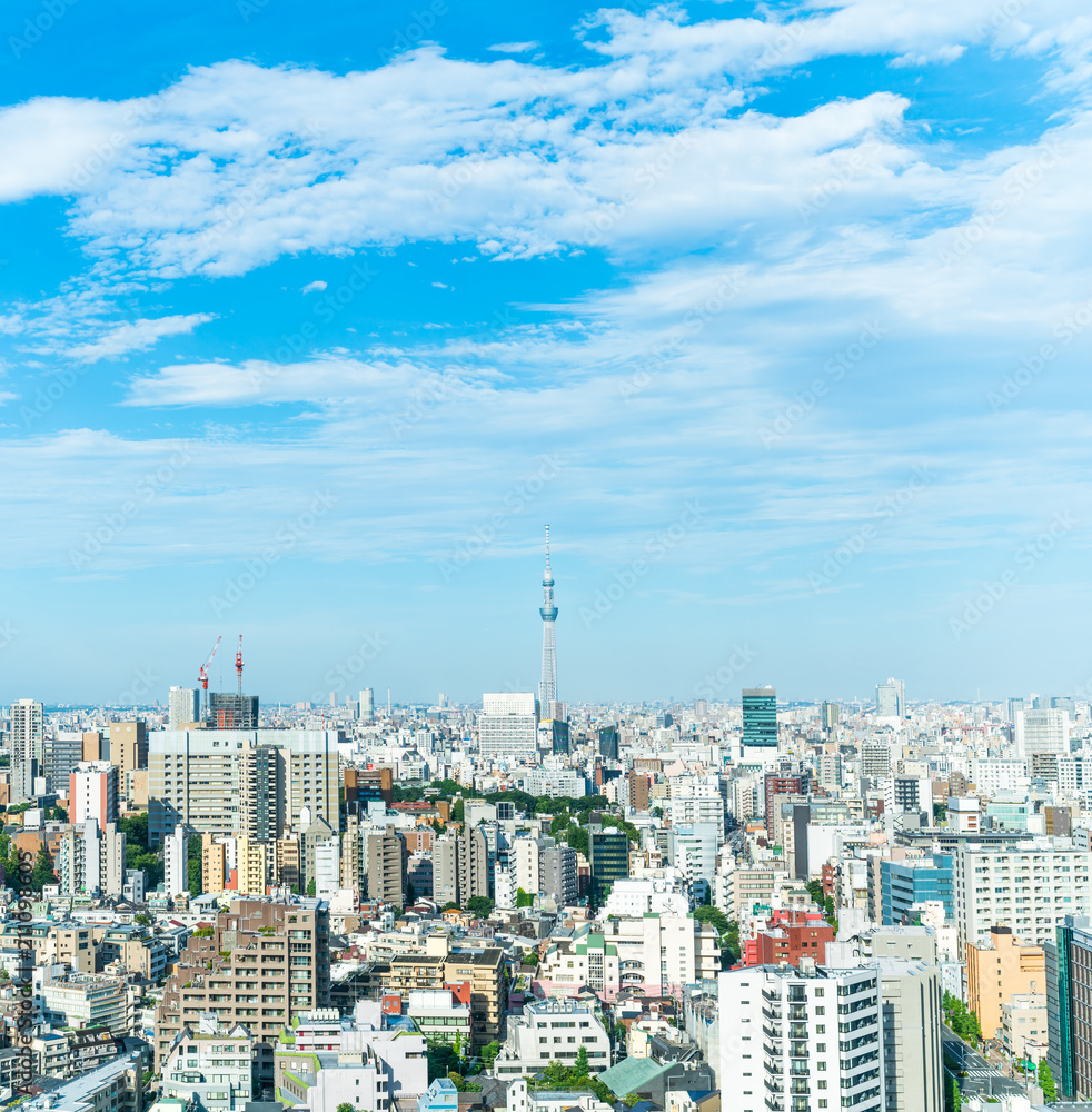 Fototapeta premium 東京風景