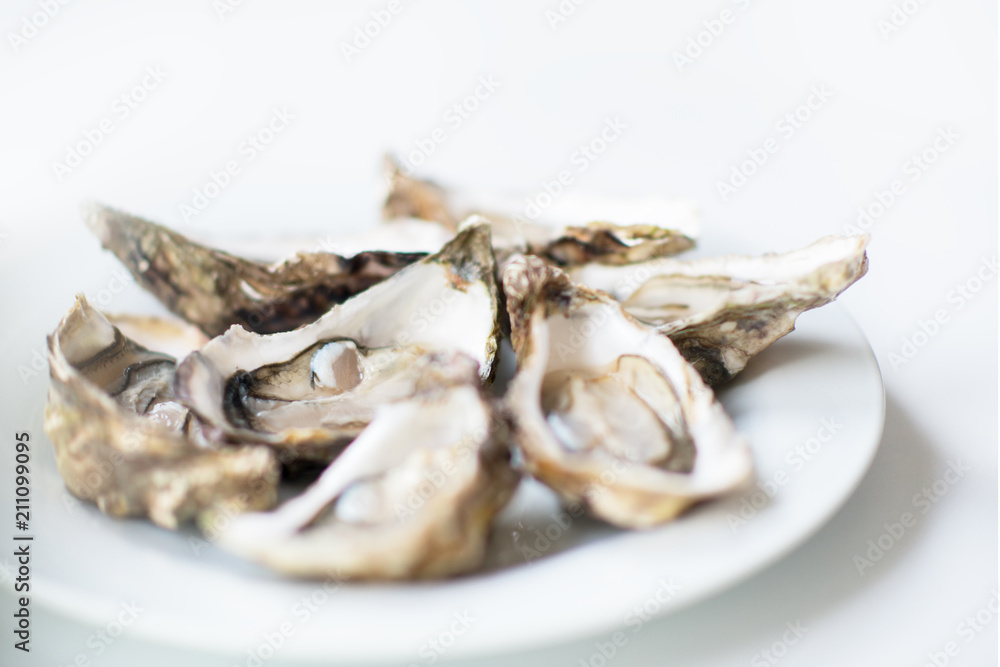 Fresh oysters. Raw fresh oysters are on white round plate, image isolated, with soft focus. Restaurant delicacy. Fresh raw oysters. Saltwater oysters. Fresh oysters. Raw fresh oysters are on white round plate, image isolated, with soft focus. Restaurant delicacy. Fresh raw oysters. Saltwater oysters.