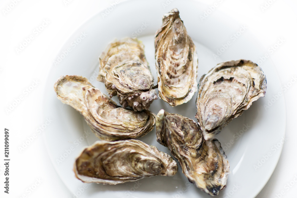 Fresh oysters. Raw fresh oysters are on white round plate, image isolated, with soft focus. Restaurant delicacy. Fresh raw oysters. Saltwater oysters. Fresh oysters. Raw fresh oysters are on white round plate, image isolated, with soft focus. Restaurant delicacy. Fresh raw oysters. Saltwater oysters.