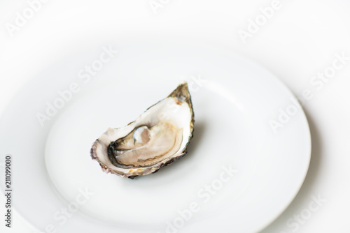 Fresh oyster. Raw fresh oyster is on white round plate, image isolated, with soft focus. Restaurant delicacy. Saltwater oyster.