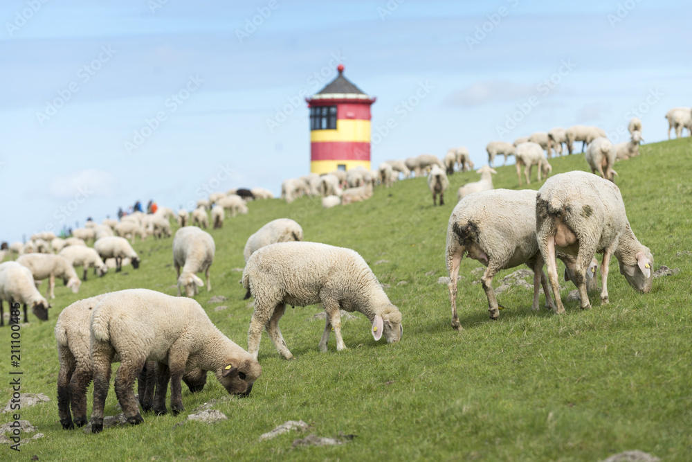 Deutschland, Niedersachsen, Ostfriesland, Krummhörn, der Leuchtturm von Pilsum. Bekannt auch aus dem Film mit dem Komiker Otto Waalkes. Deutschland, Niedersachsen, Ostfriesland, Krummhörn, der Leuchtturm von Pilsum. Bekannt auch aus dem Film mit dem Komiker Otto Waalkes.
