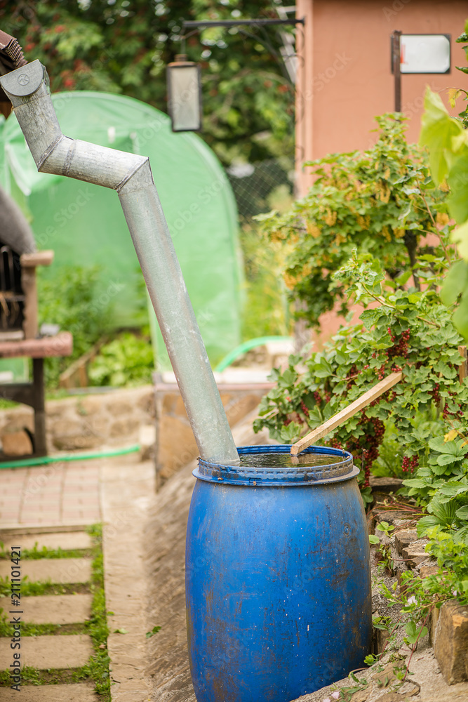 water barrel in a garden for collecting rain water water barrel in a garden for collecting rain water