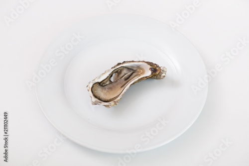 Fresh oyster. Raw fresh oyster is on white round plate  image isolated  with soft focus. Restaurant delicacy. Saltwater oyster.