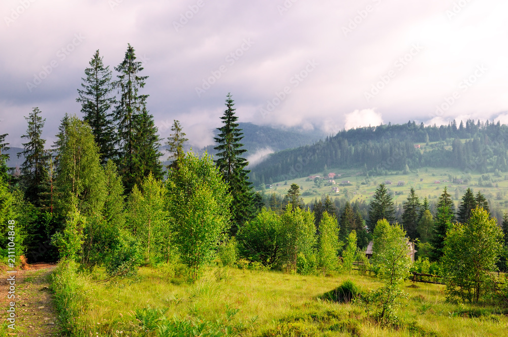 Slopes of mountains, coniferous trees and clouds in the evening sky. Location place Carpathian, Ukraine, Europe. Concept ecology protection. Explore the world's beauty. Slopes of mountains, coniferous trees and clouds in the evening sky. Location place Carpathian, Ukraine, Europe. Concept ecology protection. Explore the world's beauty.