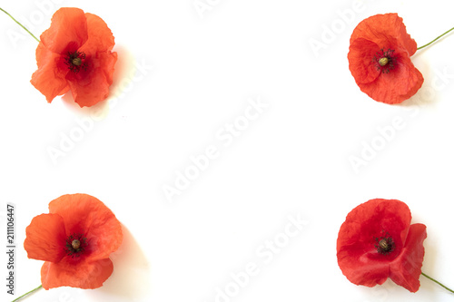Fototapeta Naklejka Na Ścianę i Meble -  Borders and Frames Made out of Poppies on White Background