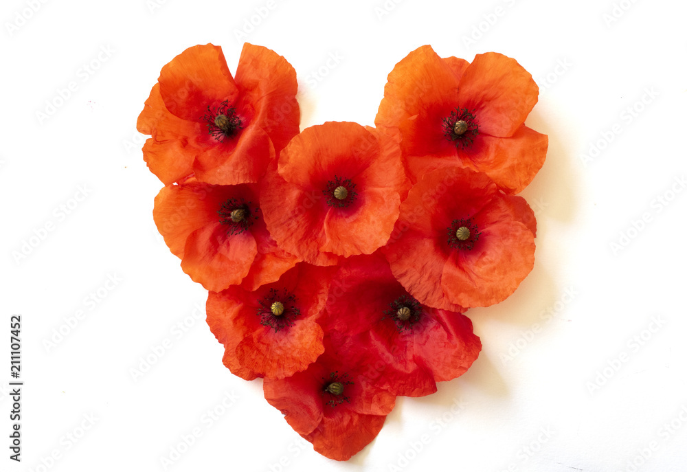 Poppies in the Shape of a Heart