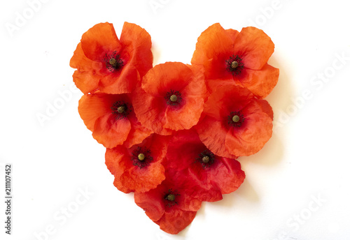 Poppies in the Shape of a Heart