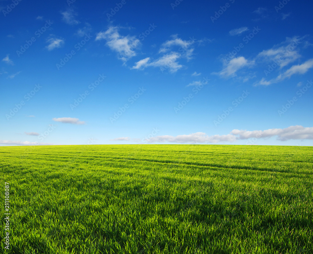 Obraz premium green field and clouds