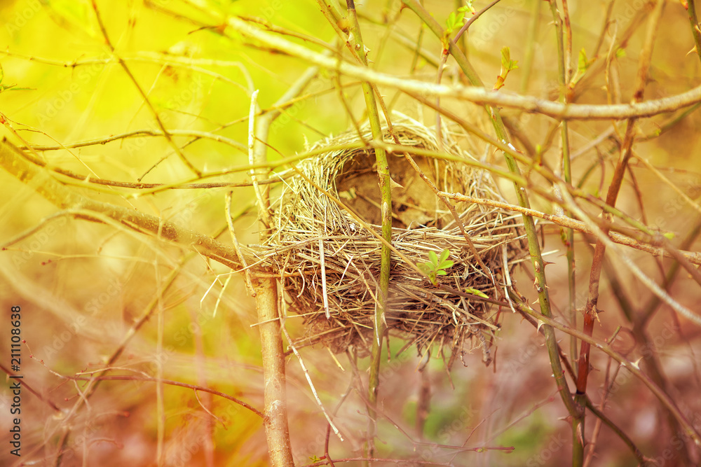 Empty bird nest made by straw on the twigs Empty bird nest made by straw on the twigs