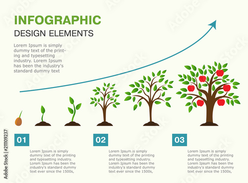 Infographic of planting tree. Seeds sprout in ground. Presentation template with the evolution of a tree. Vector illustration. Isolated on white background.