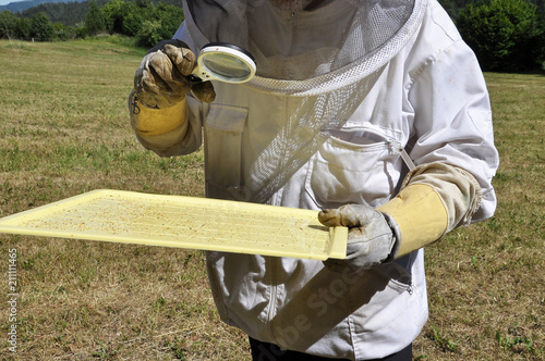 Imker mit Varroa Windel