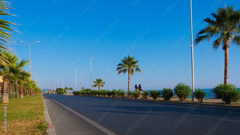 seafront road with palms