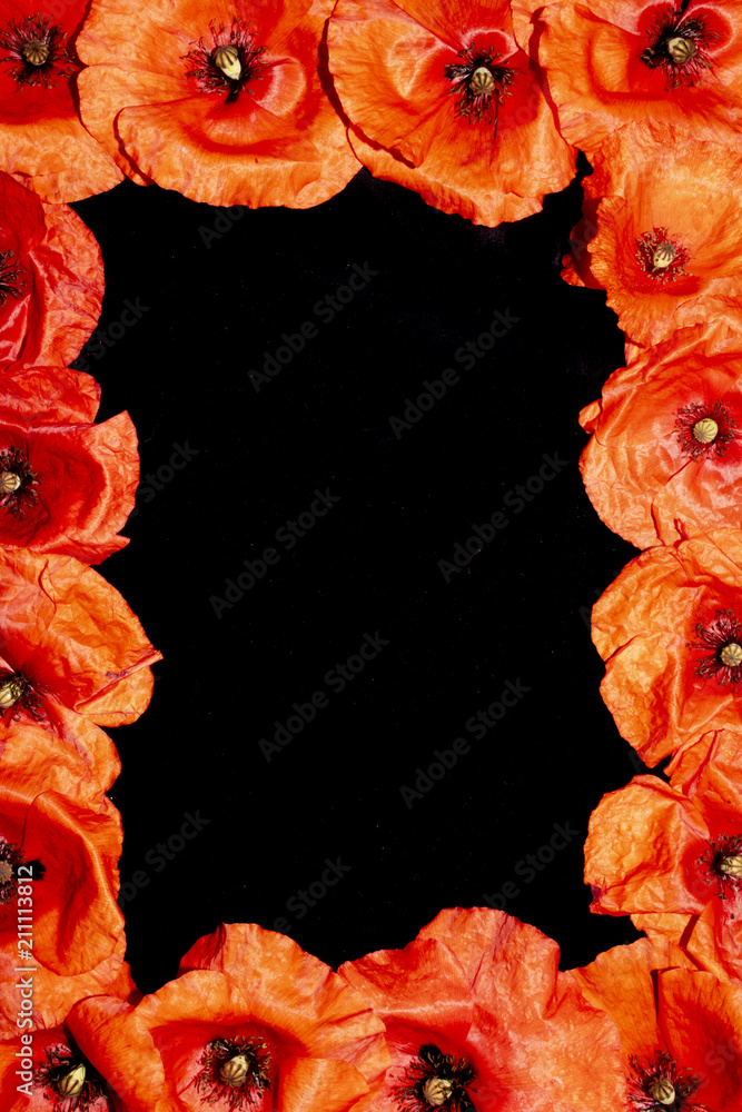 Obraz premium Red Poppies on A Black Background in the Shape of a Border Frame