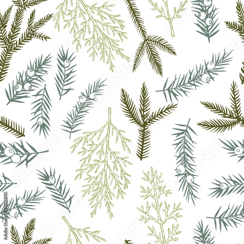  Vector seamless pattern with hand drawn Christmas plants.