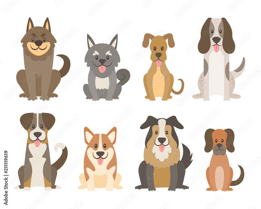 Collection of different kinds of dogs isolated on white background. Cute dogs in cartoon style sitting in front view position. Vector illustration.