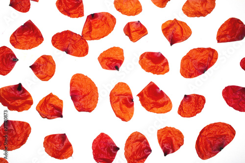 Fototapeta Naklejka Na Ścianę i Meble -  Poppies Petals on a White Background