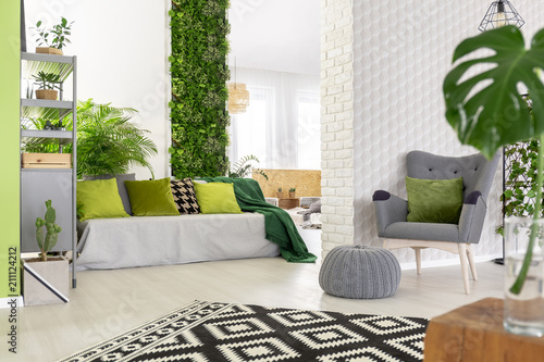 Sofa with green pillows and blanket standing in open space living room interior with grey armchair and footrest, black and white carpet and fresh plants photo
