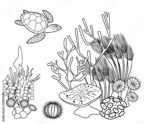 Coloring page. Coral reef with turtle and other marine animals