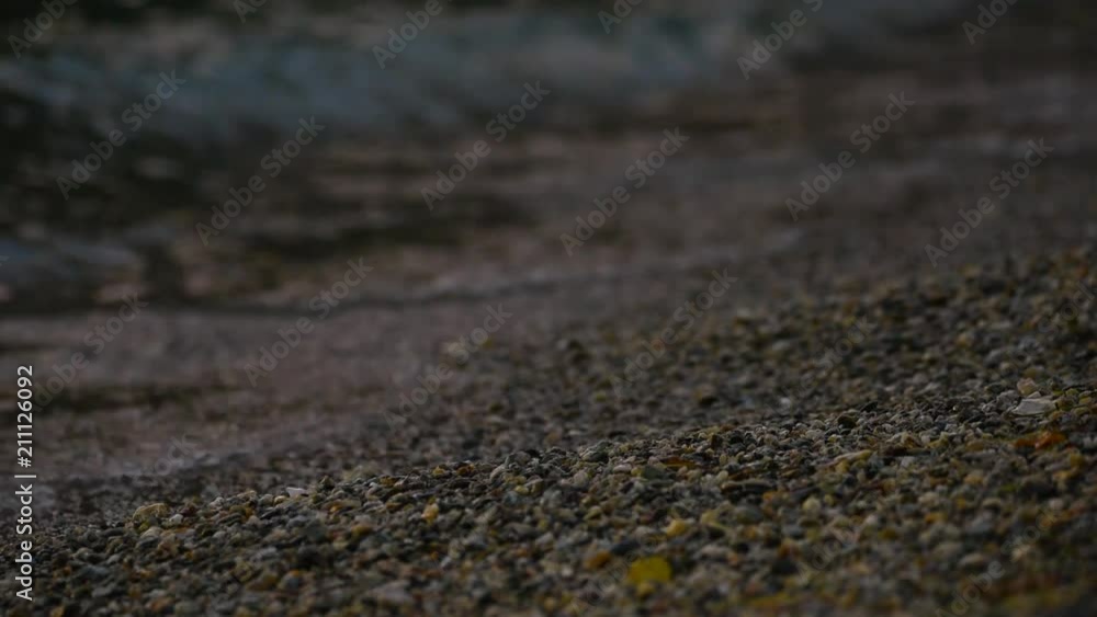 View of the beach from small pebbles. Shevelev. View of the beach from small pebbles. Shevelev.