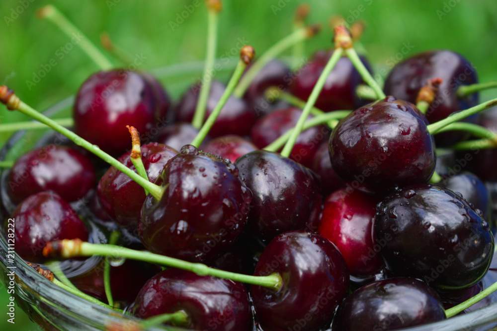 Spelled cherries in the bowl onthe green grass Spelled cherries in the bowl onthe green grass