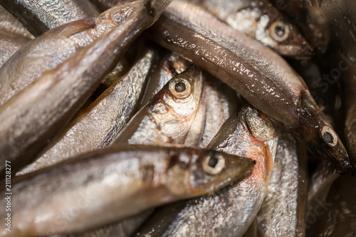 Seafood capelin close-up