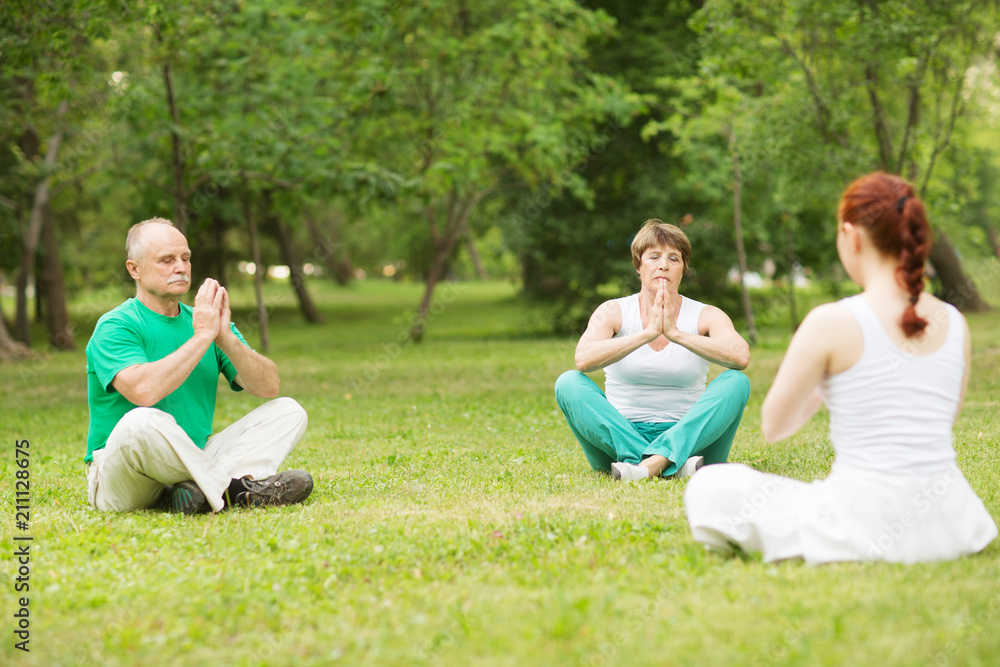 group of people practice Tai Chi Chuan in a park. Chinese management skill Qi's energy. group of people practice Tai Chi Chuan in a park. Chinese management skill Qi's energy.