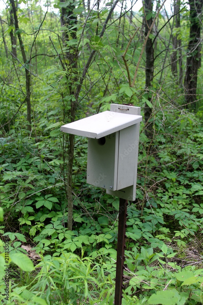 The wood birdhouse in the forest on a close view. The wood birdhouse in the forest on a close view.