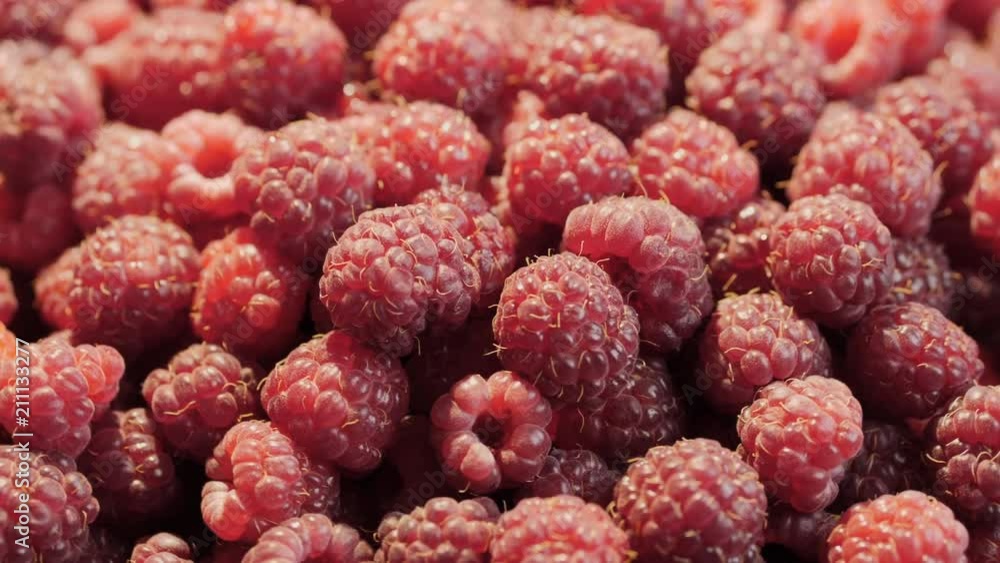 Juicy fresh Raspberry is spinning 360. Lot of raspberries yield background Juicy fresh Raspberry is spinning 360. Lot of raspberries yield background