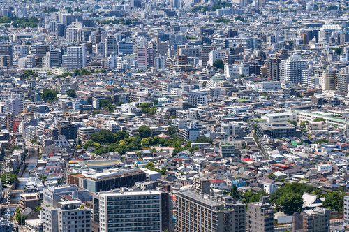 Aerial view of the Japanese capital city seen from the Metropolitan Government Building (Tokyo City Hall) © hxdyl
