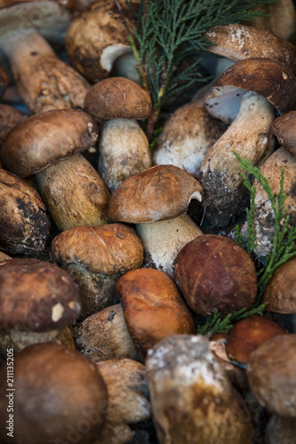 Background of mushrooms on the market in Milan in Italy close-up. 