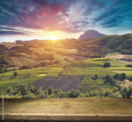 Tuscan vineyardsThe sunset on the vineyards of the Bolgheri wine.