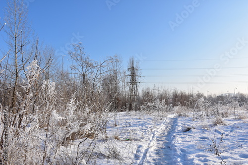 road in winter forest on a sunny day