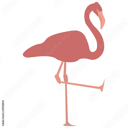 Vector image of a pink flamingo standing on one leg with the other leg up in the air. Each body part is on a separate layer.
