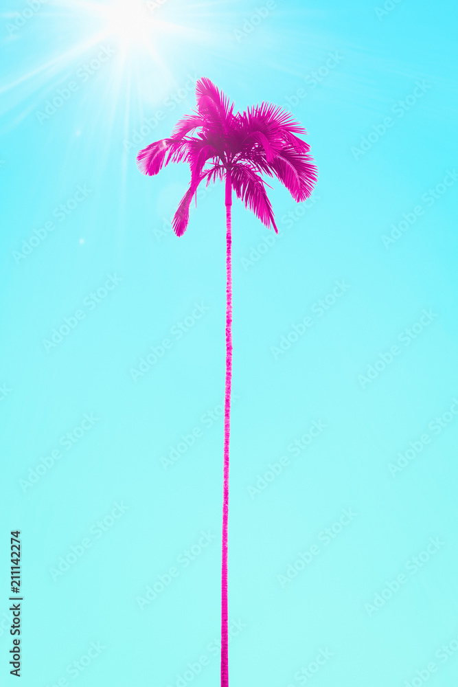 Fototapeta premium pink palm tree