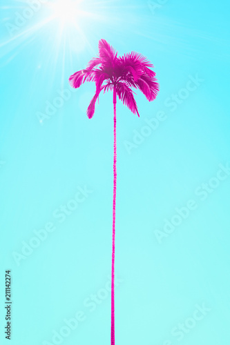 pink palm tree