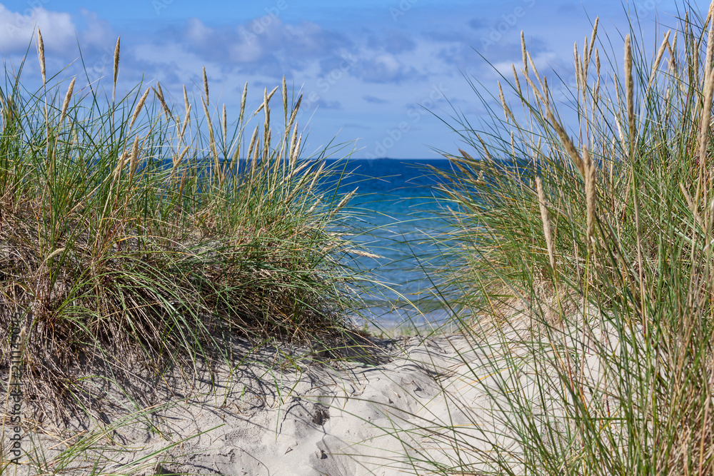 Sandy dunes covered with a grass on Sola Strand beach near Stavanger, Norway Sandy dunes covered with a grass on Sola Strand beach near Stavanger, Norway