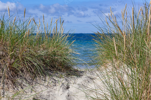 Sandy dunes covered with a grass on Sola Strand beach near Stavanger  Norway