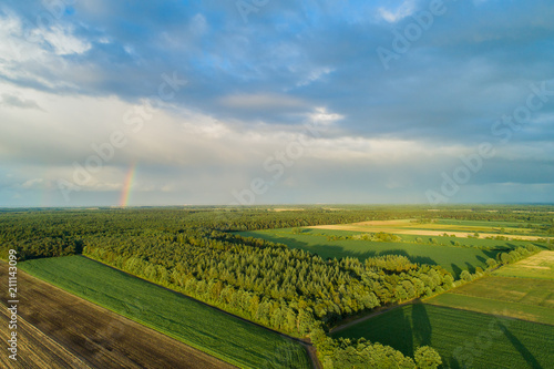 Drohnenflug und Luftaufnahme über einem Maisfeld © Natascha