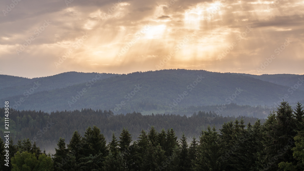 Bayerischer Wald