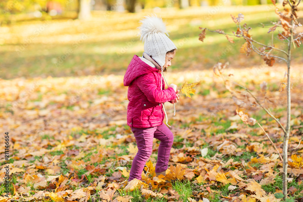 season, childhood and people concept - happy little girl with maple leaf at autumn park season, childhood and people concept - happy little girl with maple leaf at autumn park