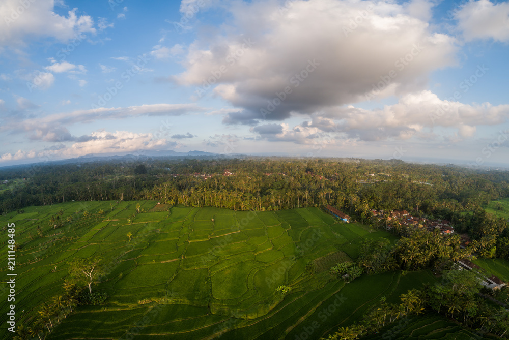 Aerial drone view of beautiful rice fields and cloudy summer sky in Bali, Indonesia