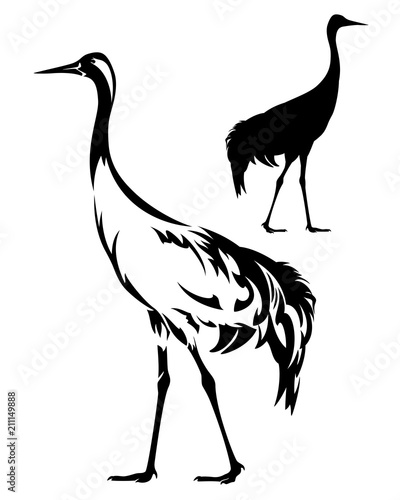 standing crane bird side view black and white vector outline and silhouette