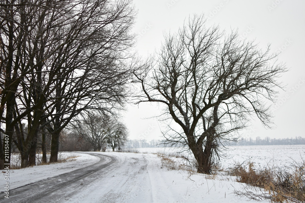 the road in winter on a cloudy day the road in winter on a cloudy day