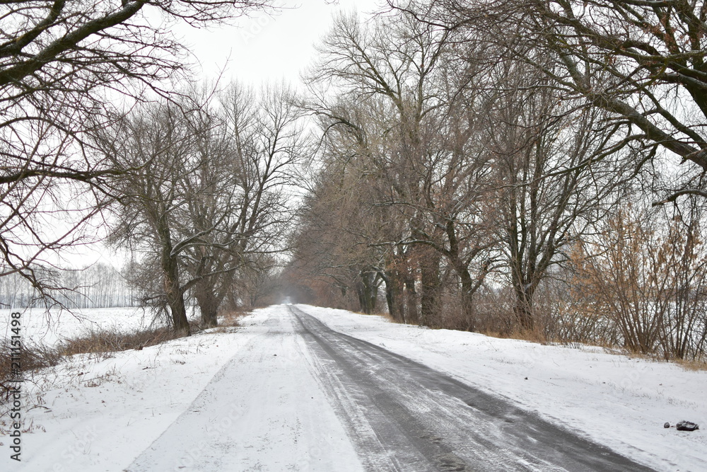 the road in winter on a cloudy day